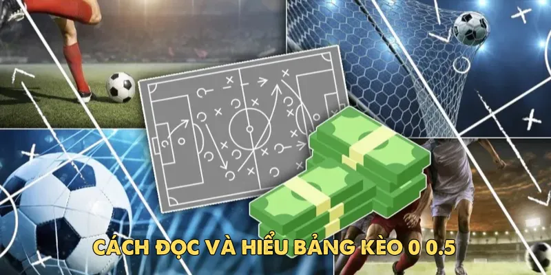 Kèo 0 0.5 là gì trong cá độ bóng đá?
